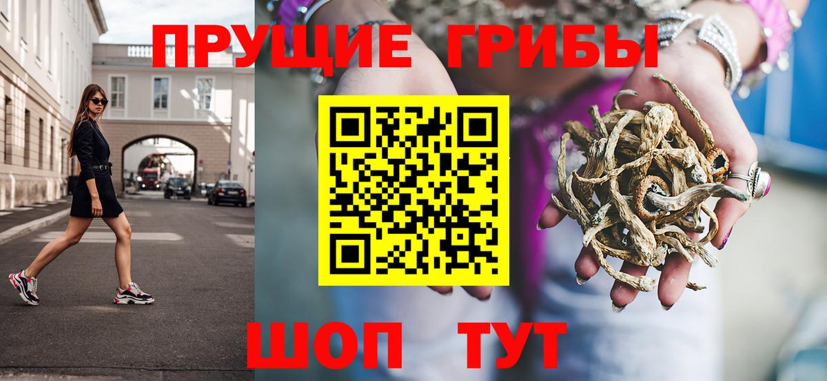 Псилоцибиновые грибы мухоморы  Вход с VPN  Карачаевск 
