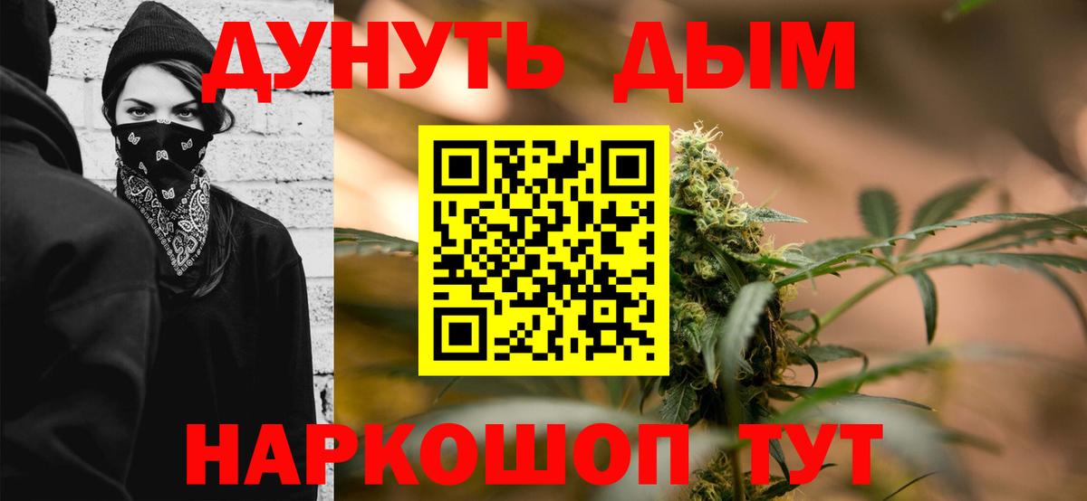 Марихуана сатива Карачаевск